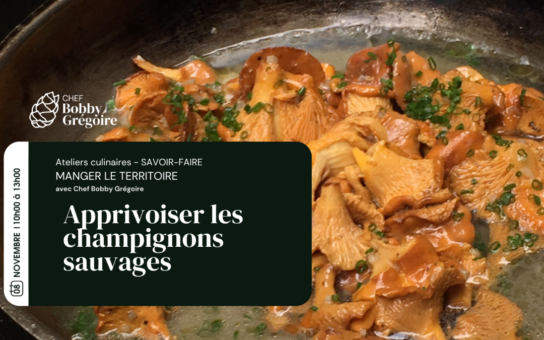 Apprivoiser les champignons sauvages du Québec